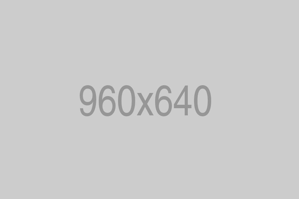 Consulting on a multi-company and international merger.